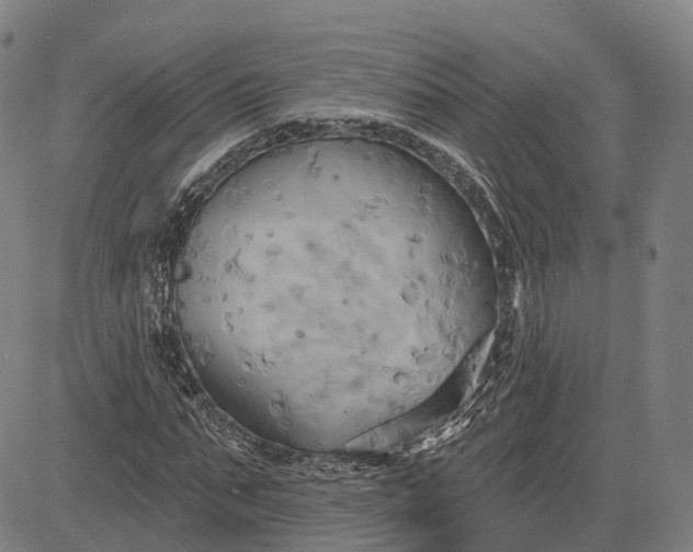 X0000083040871200702161704