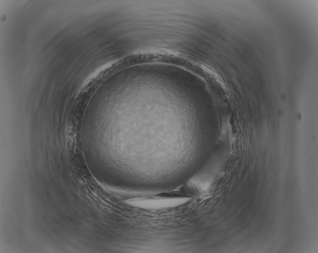 X0000083040872200702161704