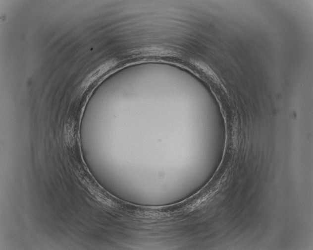 X0000083040873200702161704