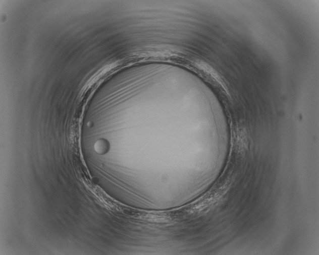 X0000083040874200702161704