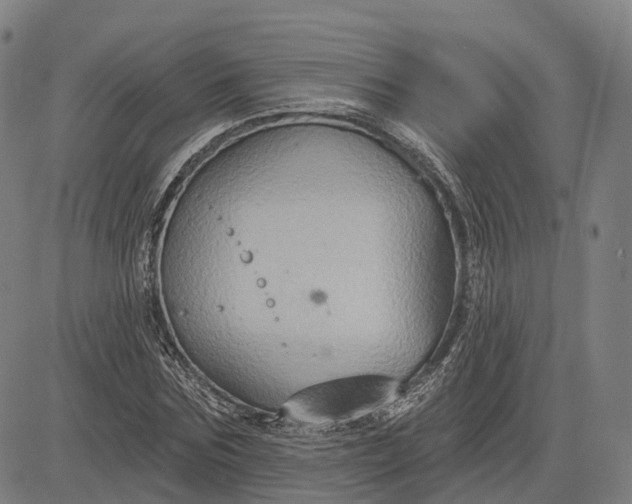 X0000083040875200702161704