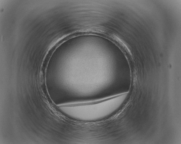 X0000083040876200702161704