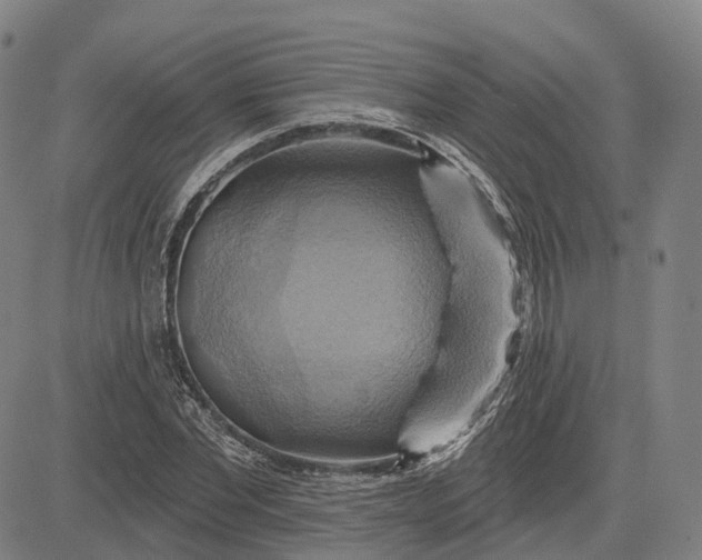 X0000083040877200702161704