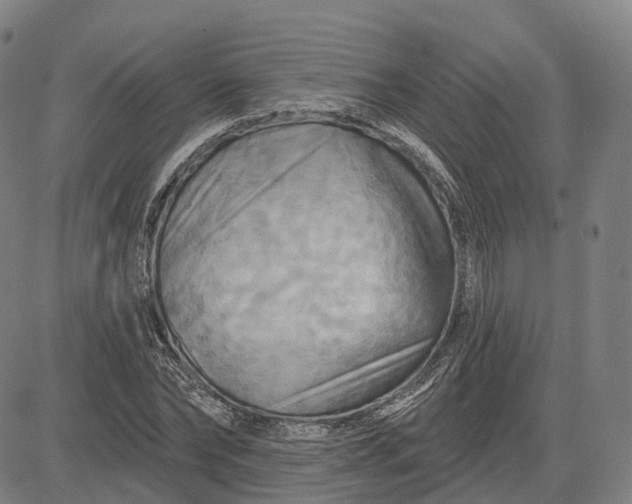 X0000083040878200702161704