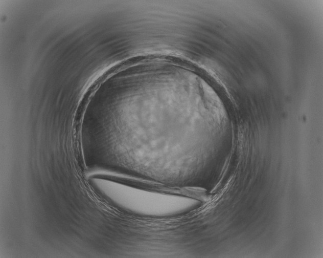 X0000083040879200702161704