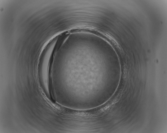 X0000083040880200702161704