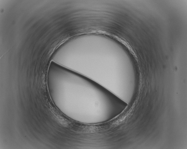 X0000083040881200702161704