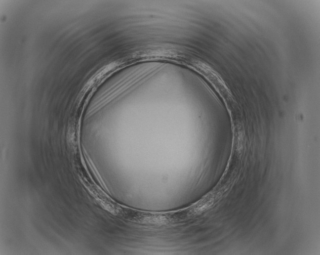 X0000083040882200702161704