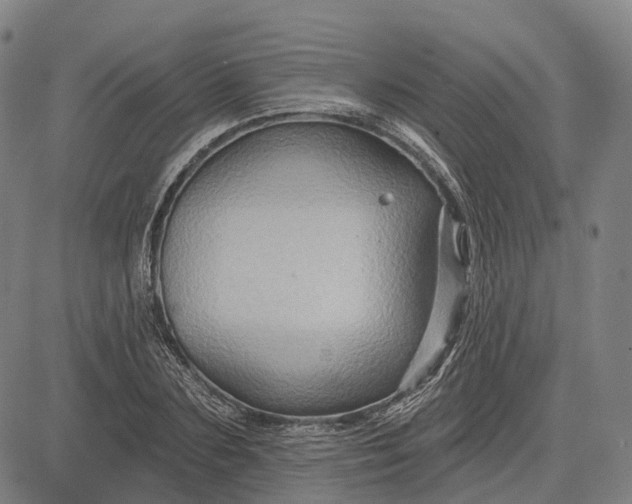 X0000083040883200702161704