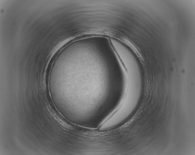 X0000083040884200702161704