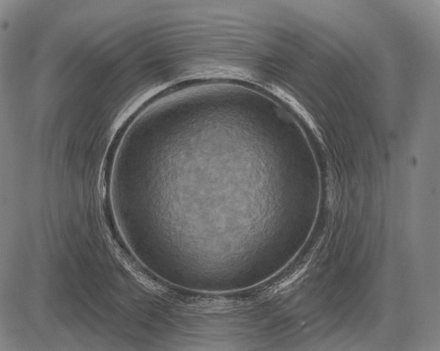 X0000083040885200702161704