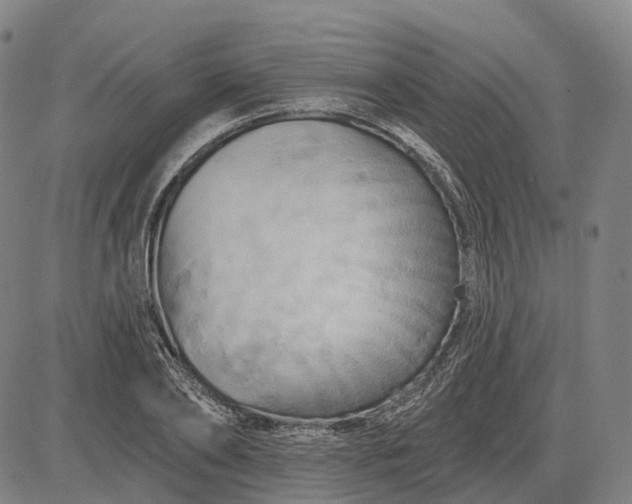 X0000083040886200702161704