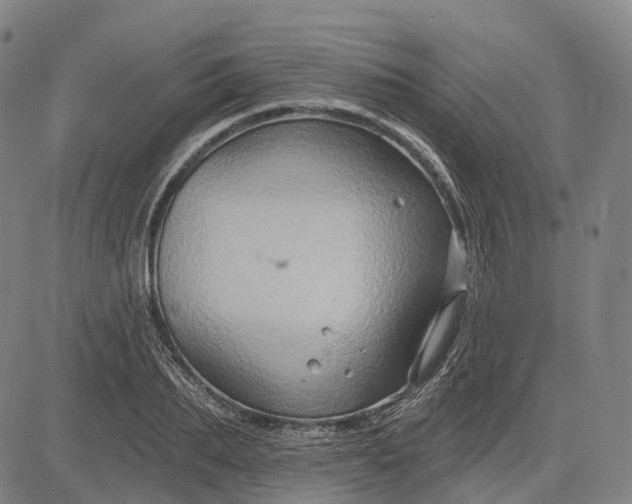 X0000083040887200702161704