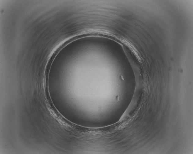 X0000083040888200702161704