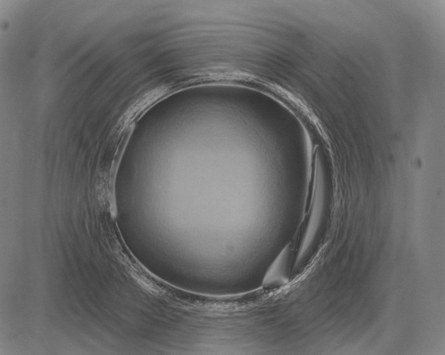 X0000083040889200702161703