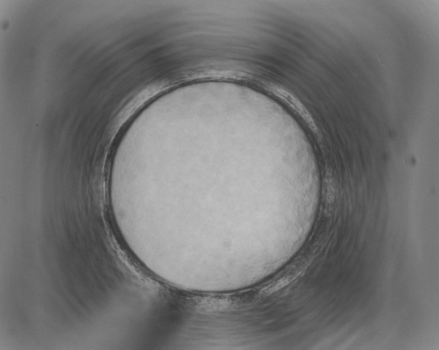 X0000083040890200702161703