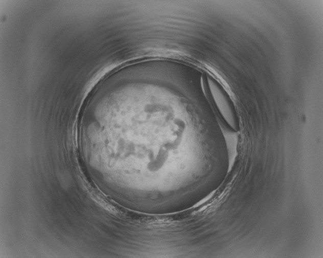 X0000083040891200702161703