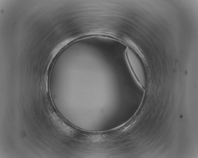 X0000083040892200702161703