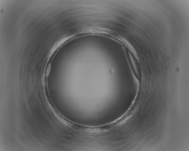 X0000083040893200702161703