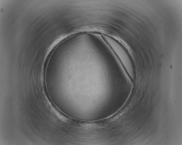 X0000083040894200702161703