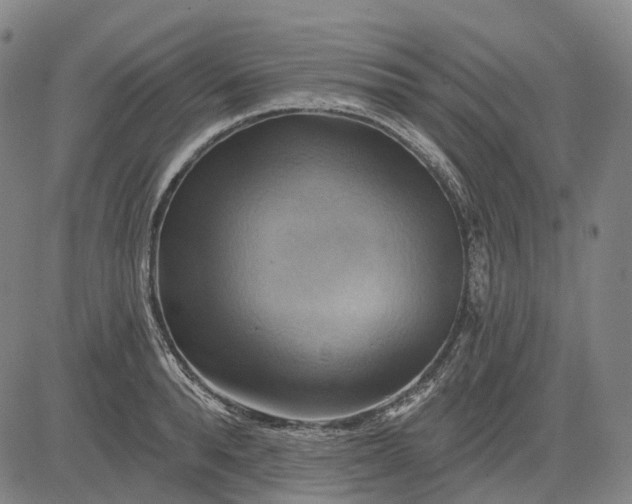 X0000083040896200702161703