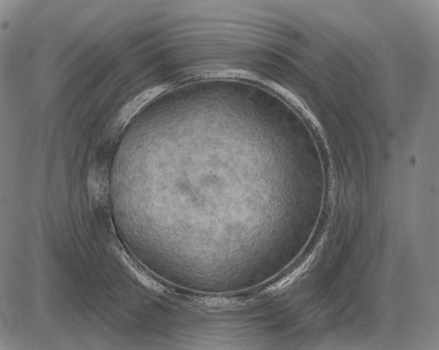 X0000083040897200702161703