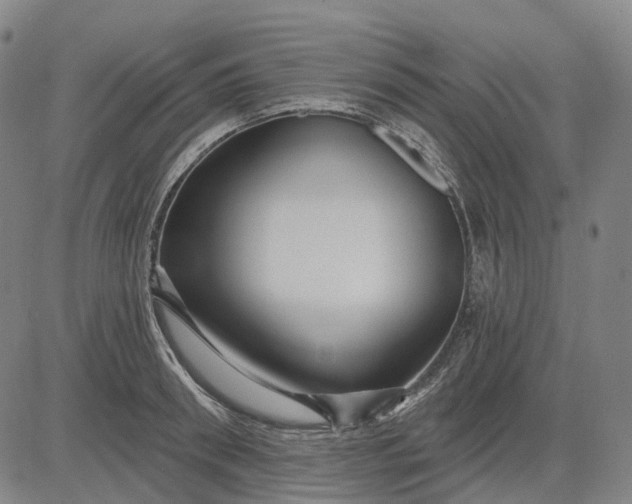 X0000083040898200702161703