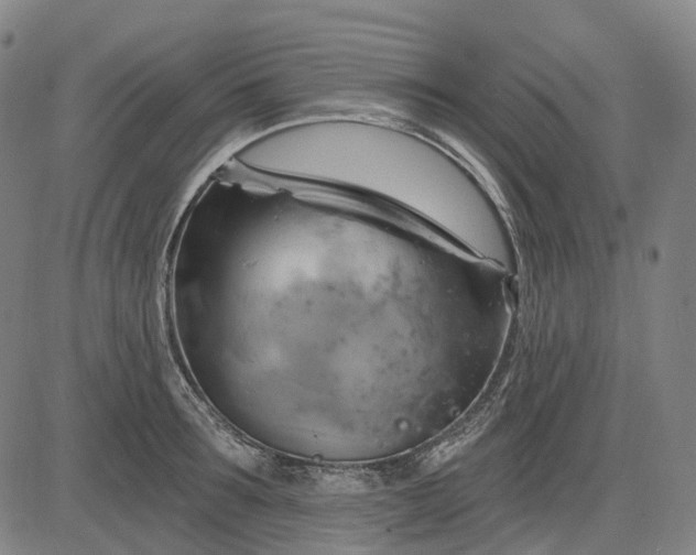 X0000083040899200702161703