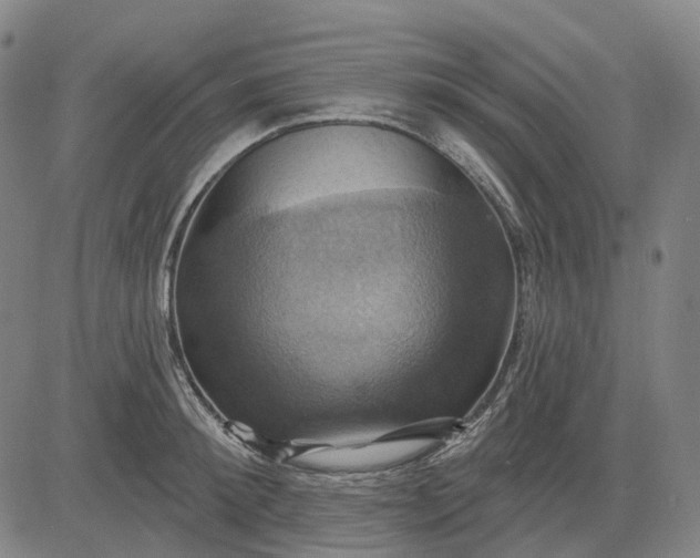 X0000083040900200702161703