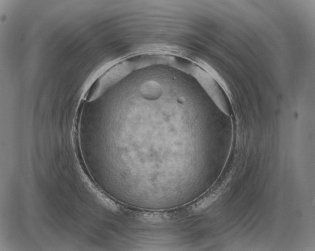 X0000083040901200702161703