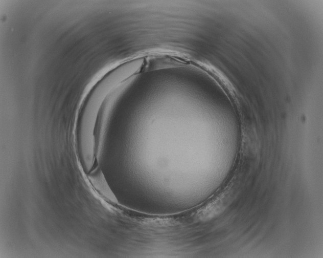 X0000083040902200702161703