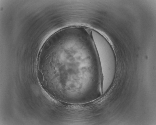 X0000083040903200702161703