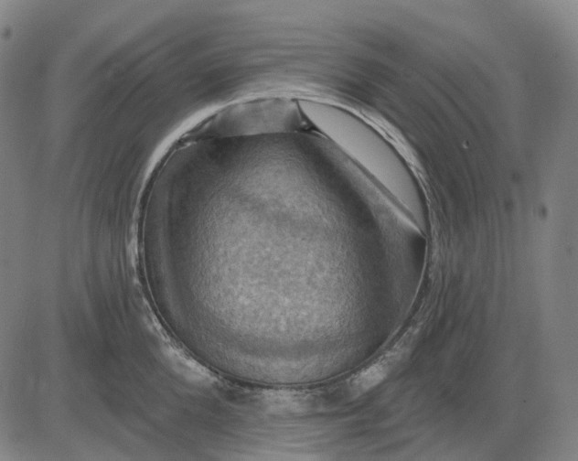 X0000083040904200702161703