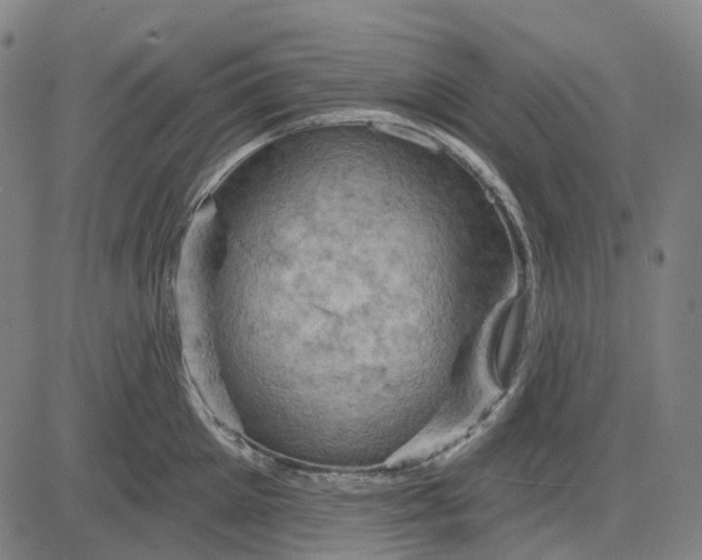 X0000083040905200702161703