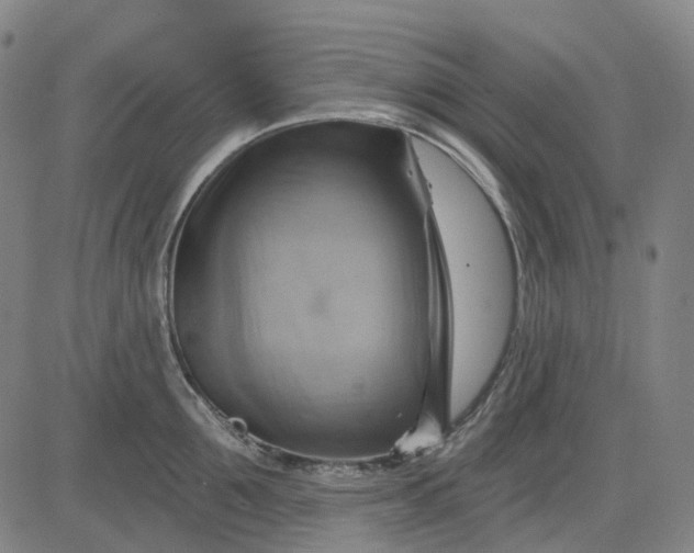 X0000083040907200702161703