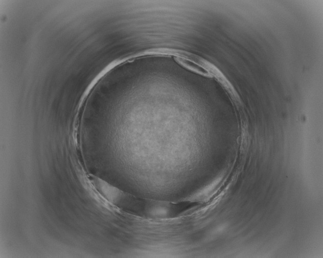 X0000083040908200702161703