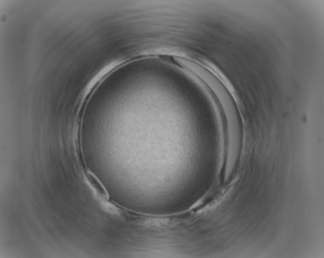 X0000083040909200702161703