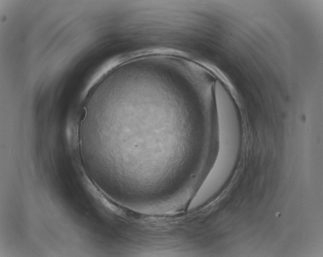 X0000083040910200702161703