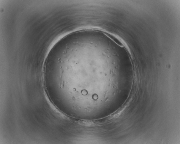 X0000083040911200702161703