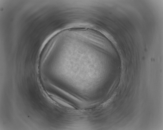 X0000083040912200702161703