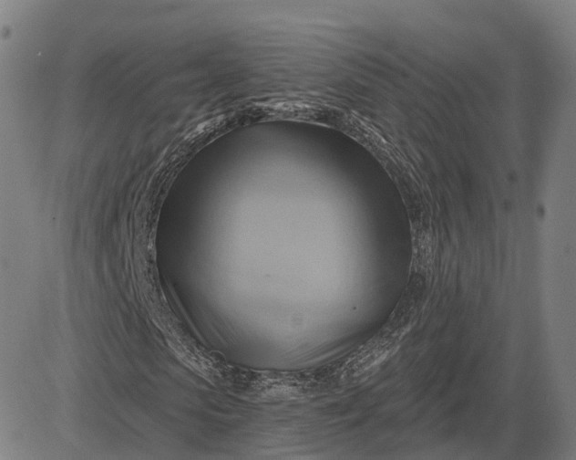 X0000083040913200702161702