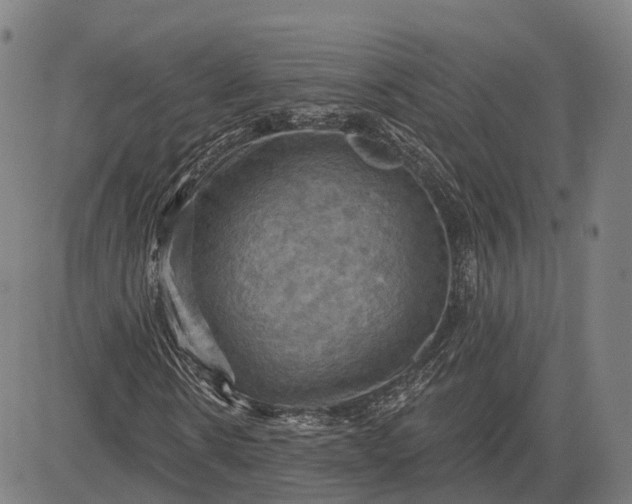 X0000083040914200702161702