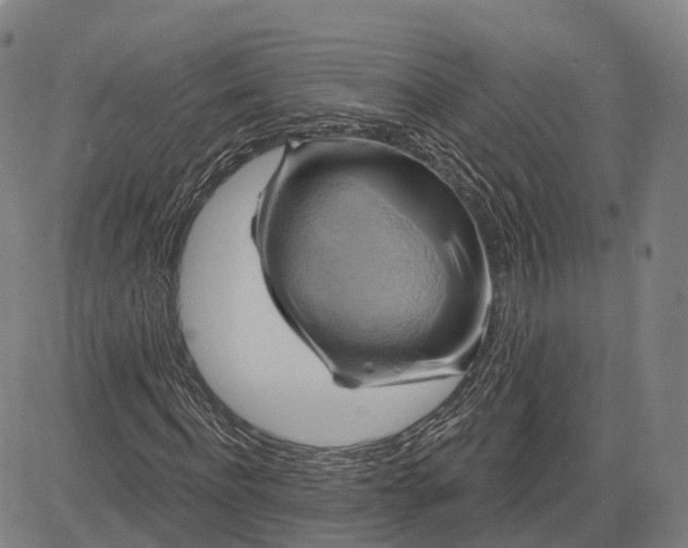 X0000083040916200702161702