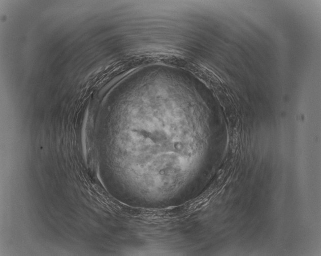 X0000083040917200702161702