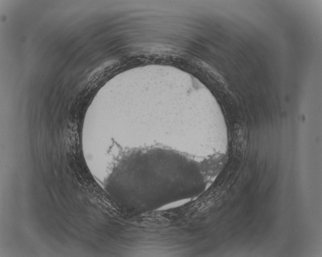 X0000083040918200702161702