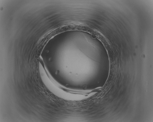 X0000083040919200702161702