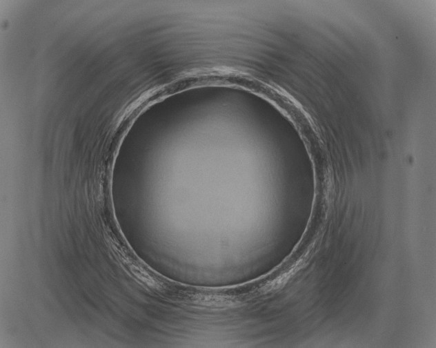 X0000083040921200702161702