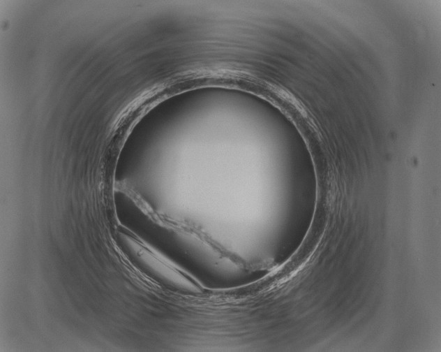 X0000083040922200702161702