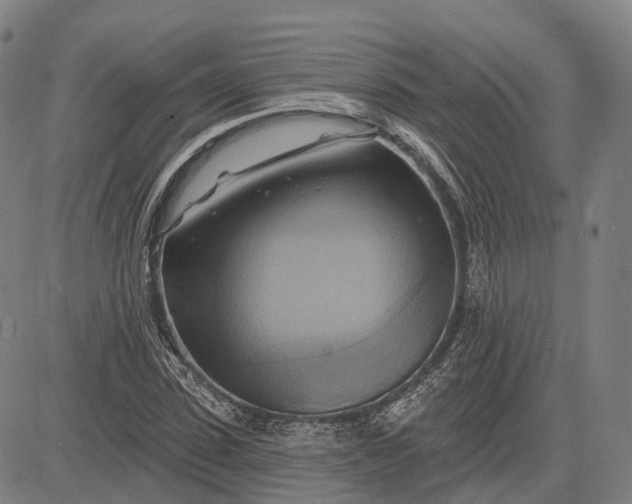 X0000083040923200702161702