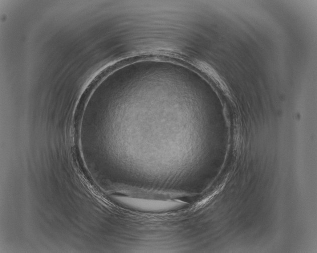 X0000083040924200702161703